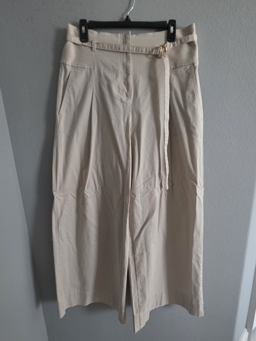 Ann Taylor Cream Wide-Leg Chinos with Slim Belt